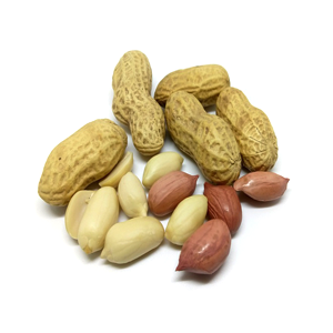 Peanut চীনা বাদাম